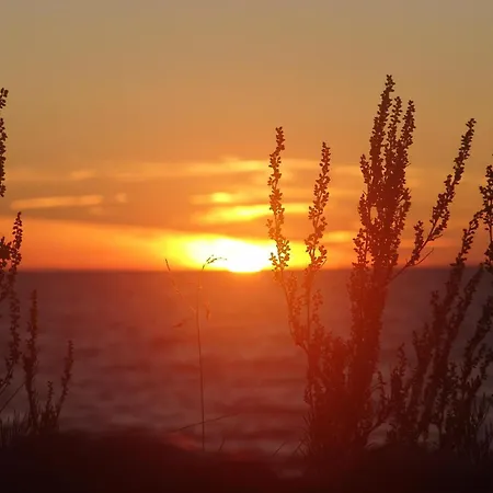 Gorgeous In With House Sea View