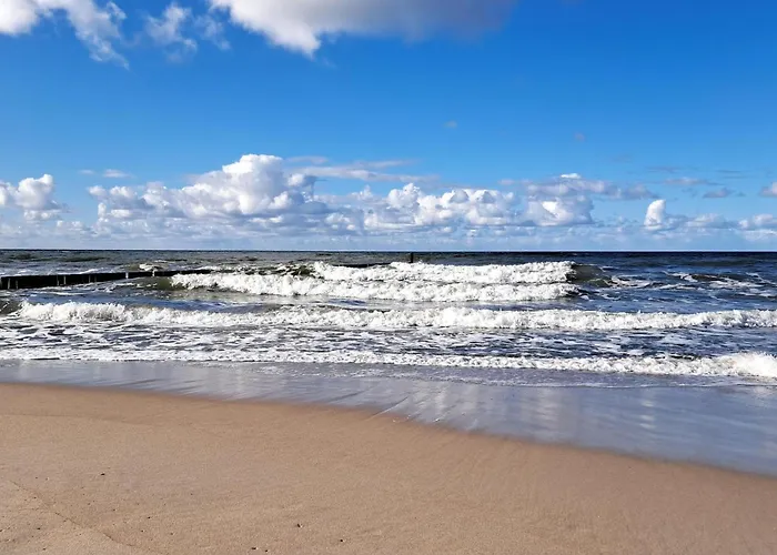 Pet Friendly In With Wifi *