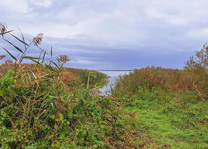 Pet Friendly In With Wifi *